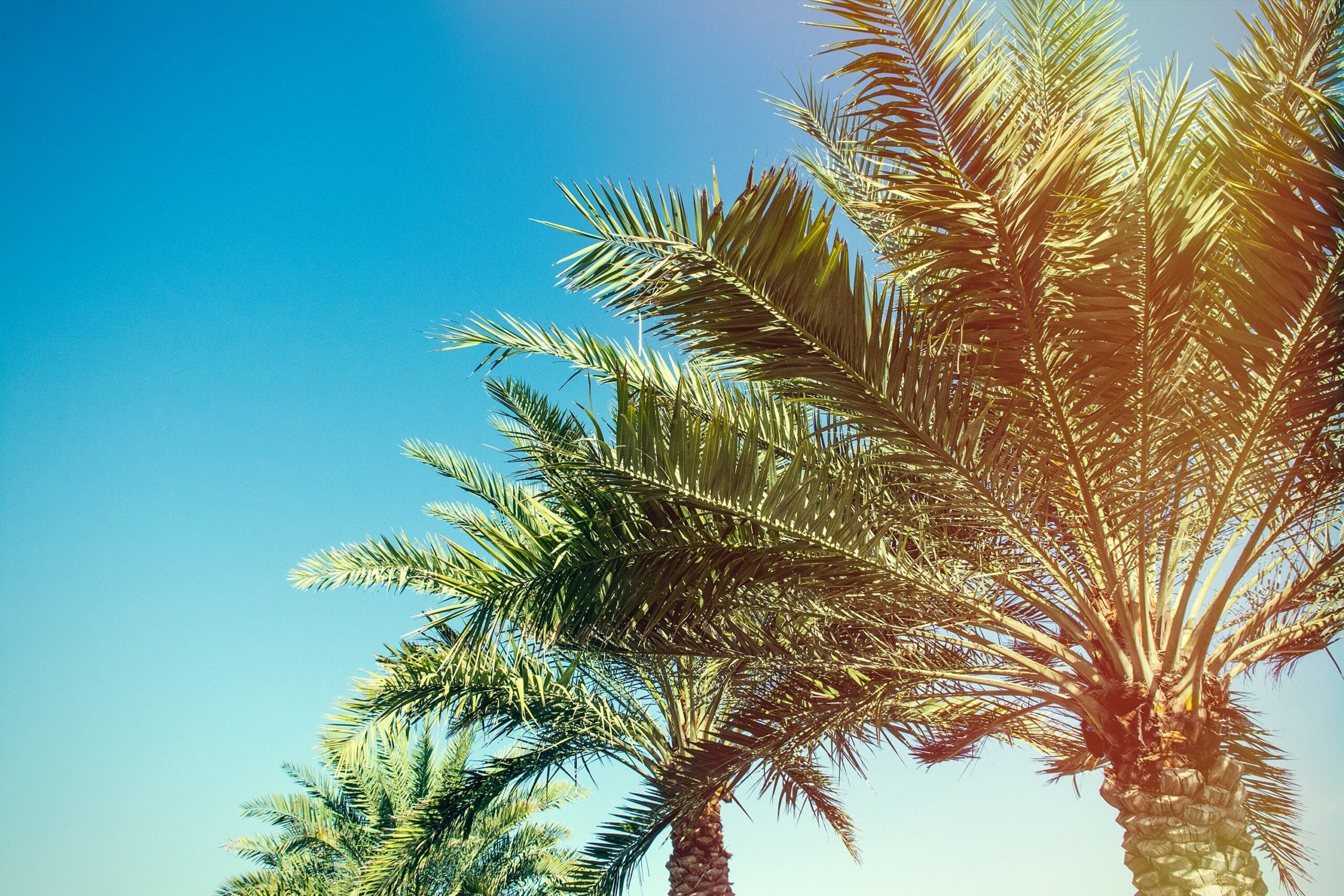California: What is the Made Whole Doctrine?