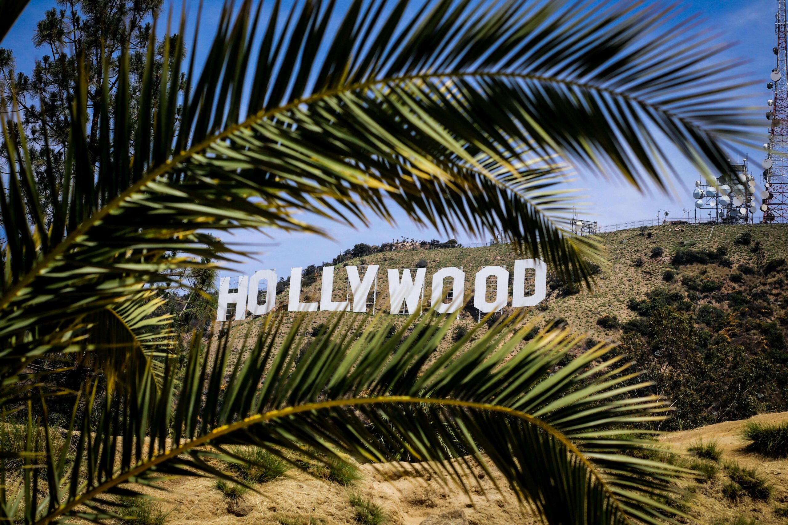 What Are Government Immunities Under California Law?