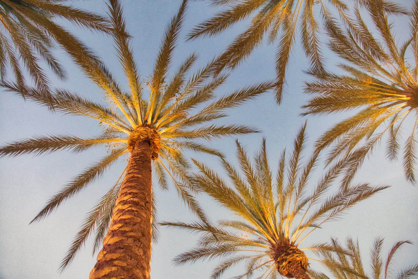 What Is The Fair Claims Settlement Act In California?