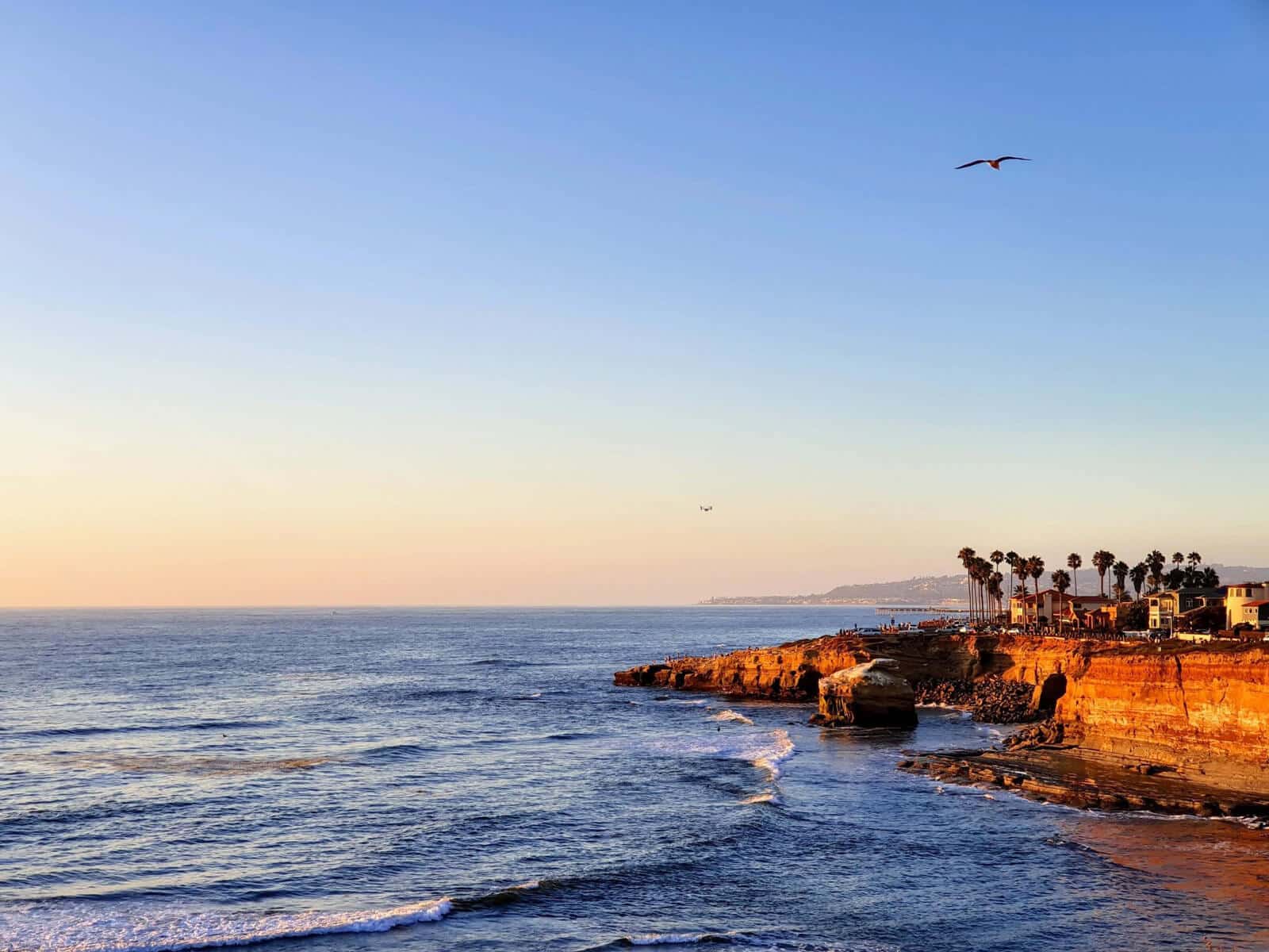 What Is Efficient Proximate Cause In California?