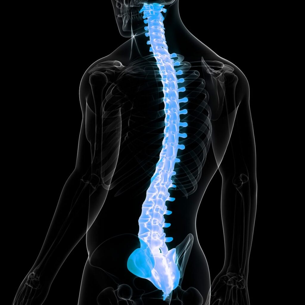 spinal cord accident